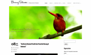 Burungsulawesi.web.id thumbnail
