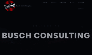 Buschconsulting.com thumbnail