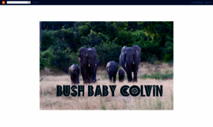 Bushbabycolvin.blogspot.com thumbnail