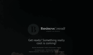 Business-consult.be thumbnail