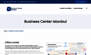 Businesscenteristanbul.com thumbnail