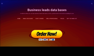 Businessleadsdatabases.com thumbnail