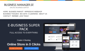 Businessmanager.se thumbnail