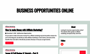 Businessopportunities.online thumbnail