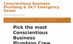 Businessplumbing.com thumbnail