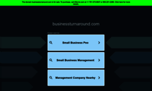 Businessturnaround.com thumbnail