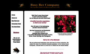 Busybeecompany.com thumbnail