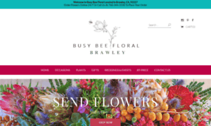 Busybeefloral.net thumbnail