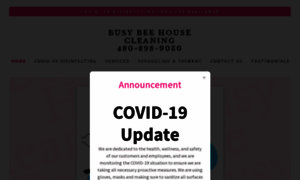 Busybhousecleaning.com thumbnail