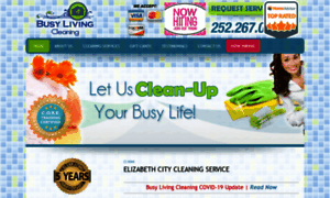 Busylivingcleaning.com thumbnail