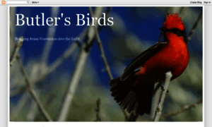 Butlersbirdsandthings.blogspot.com thumbnail