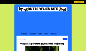 Butterfliessite.com thumbnail