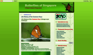 Butterflycircle.blogspot.com thumbnail
