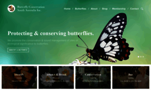 Butterflyconservationsa.net.au thumbnail