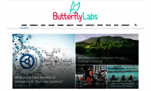 Butterflyslabs.com thumbnail