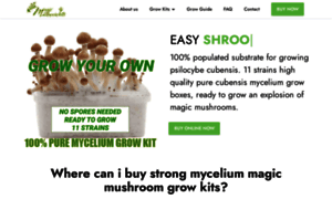 Buy-magic-mushroom-kits.com thumbnail