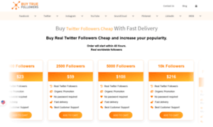 Buy-real-twitter-followers.com thumbnail