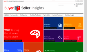 Buyer.sellerinsights.com thumbnail