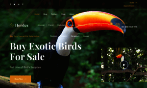 Buyexoticbirdsforsale.com thumbnail