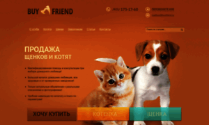 Buyfriend.ru thumbnail