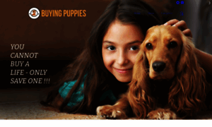 Buyingpuppies.com thumbnail