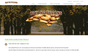 Buyncpecans.com thumbnail