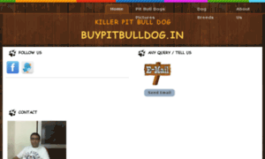 Buypitbulldog.in thumbnail