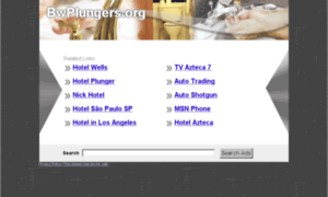 Bwplungers.org thumbnail