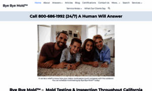 Byebyemold.com thumbnail