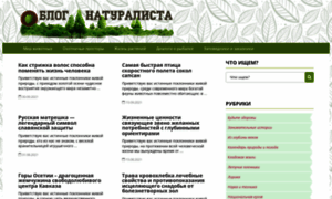 Bytrina11.ru thumbnail