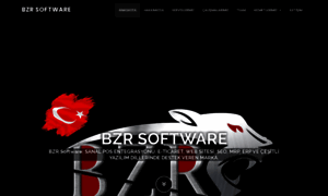 Bzrsoftware.com thumbnail