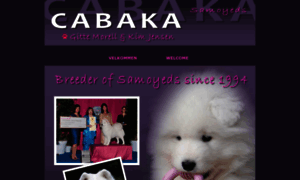 Cabaka.dk thumbnail