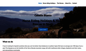 Caballoblancotrekking.com thumbnail