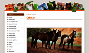 Caballos.anipedia.net thumbnail