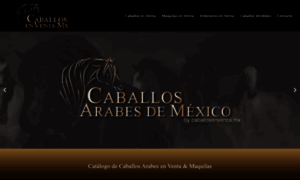 Caballosarabes.mx thumbnail