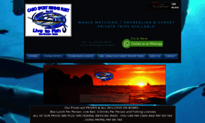 Cabosportfishingfleet.com thumbnail