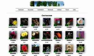 Cactofili.org thumbnail
