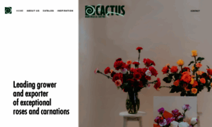 Cactusflowers.com.co thumbnail