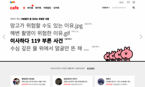 Cafe331.daum.net thumbnail