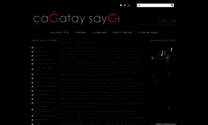 Cagataysaygi.com thumbnail