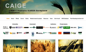 Caigeproject.org.au thumbnail