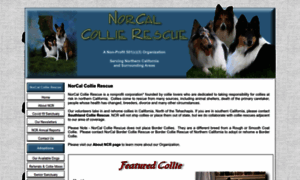 Calcollierescue.org thumbnail