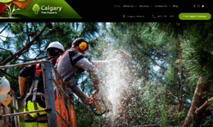 Calgarytreeexperts.ca thumbnail