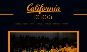 Calicehockey.com thumbnail