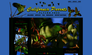 Californiaparrots.us thumbnail