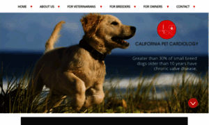 Californiapetcardiology.com thumbnail