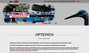 Call-put-option.de thumbnail