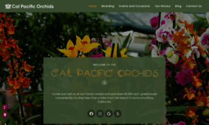 Calpacificorchids.com thumbnail