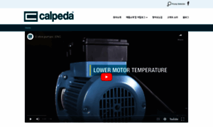 Calpedakorea.com thumbnail