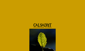Calsalvet.com thumbnail